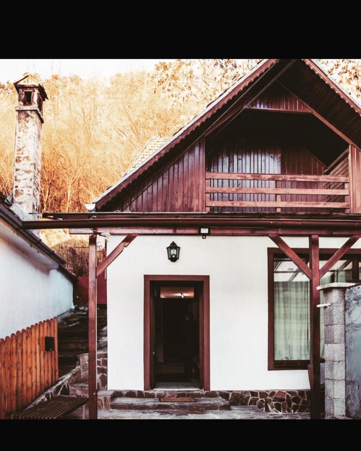 Sedra House Villa Sighişoara Eksteriør billede